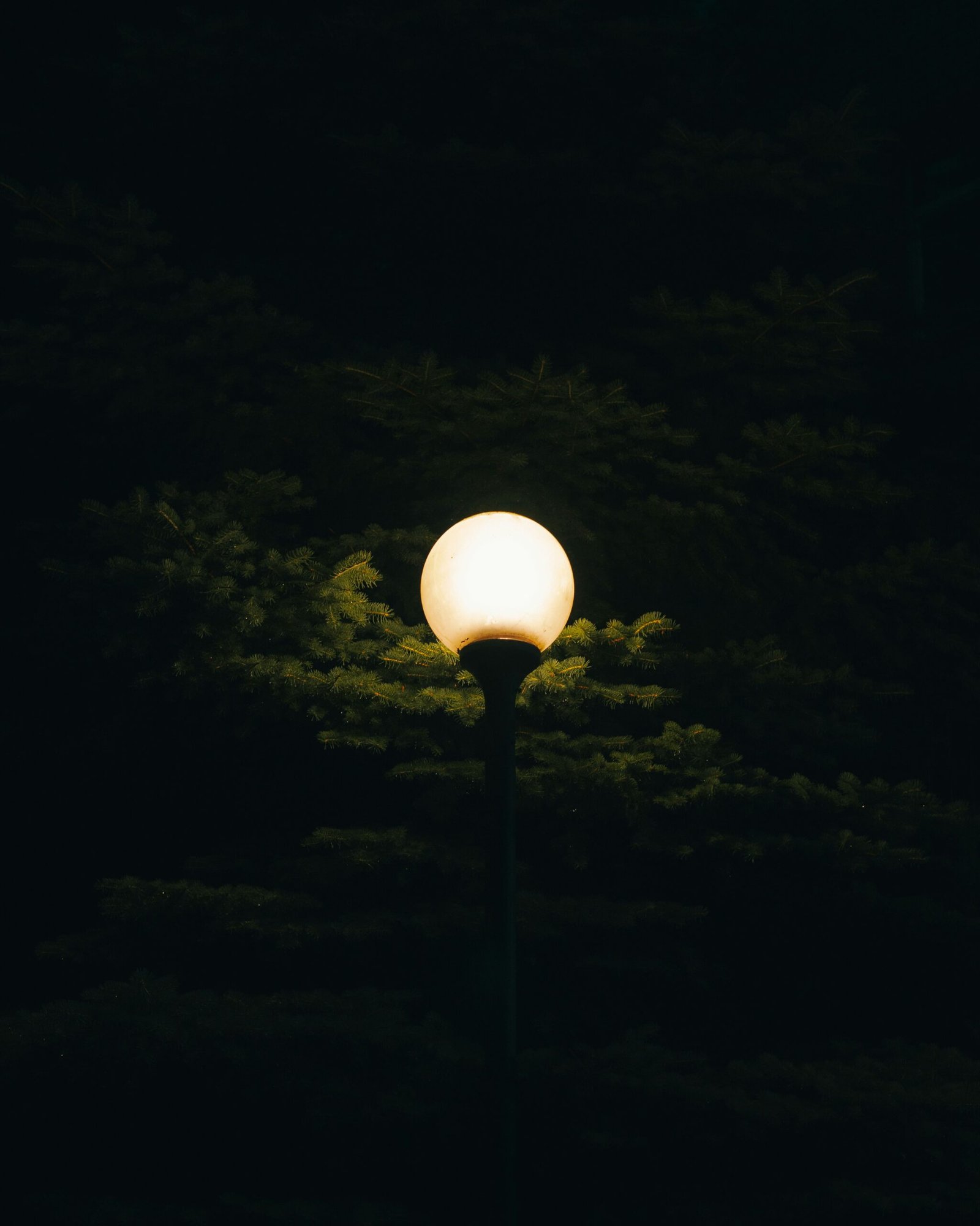 https://thryve.co.in/wp-content/uploads/2025/06/artem-polezhaev-JS5Pk_e8ZYs-unsplash-scaled.jpg